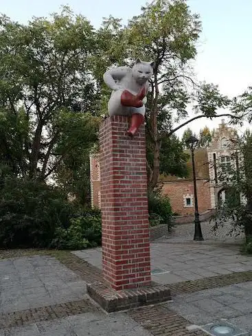 Chat Botté