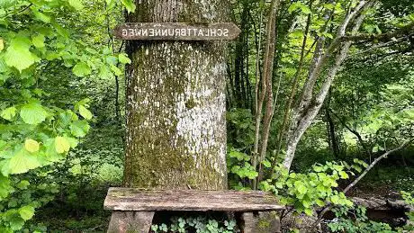 Schlattbrunnen Tiertränke