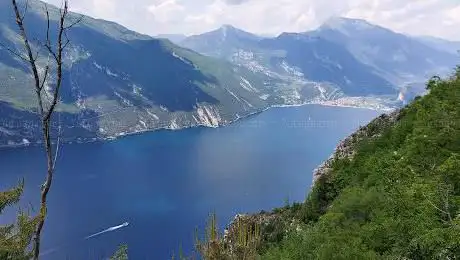 Photo de Bocca Larici