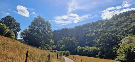 Photo de La passerelle des roches des challes