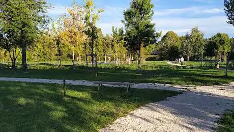 Photo de Nuovo Parco Comunale Tassina