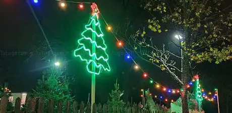Photo de The Christmas Forest