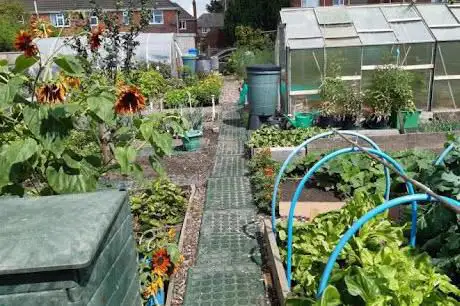 Photo de New Village Allotments