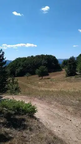 Photo de Corpo Forestale Dello Stato