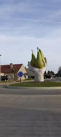 Hand met peren