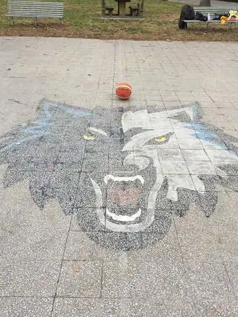 Photo de PalaReggi