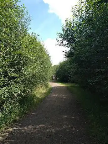Photo de Byrom Hall Woods