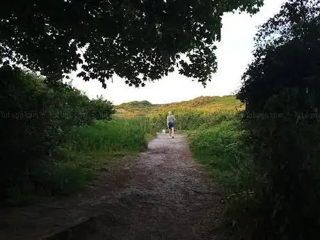 Photo de Headon Warren National Trust