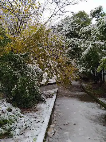 Giardino