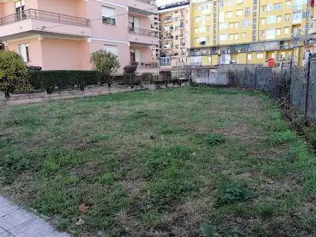 Area cani
