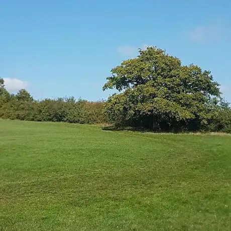 Nightingale Meadows