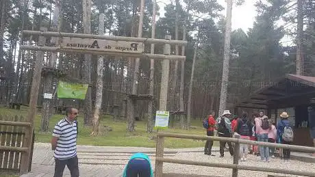 Photo de Parque Micológico de Pinar Grande