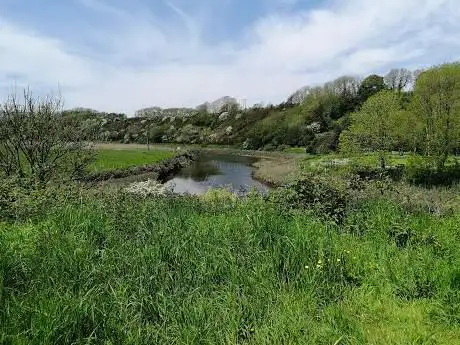 Priory Saltings Nature Reserve