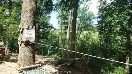 Photo de Les écureuils