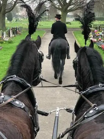 Photo de Acorn Carriage Hire
