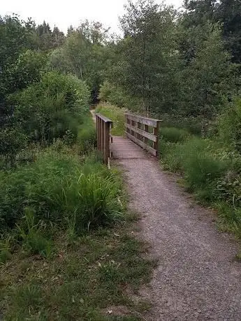 Piddle Wood