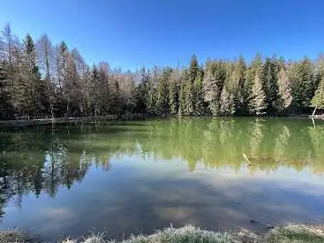 Photo de Place de pique-nique des Miriouges