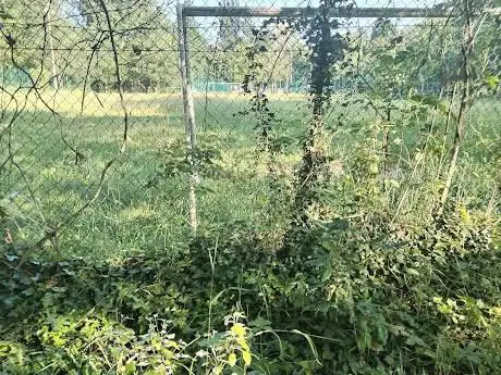Campo sportivo