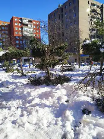 Photo de El parque del Pino