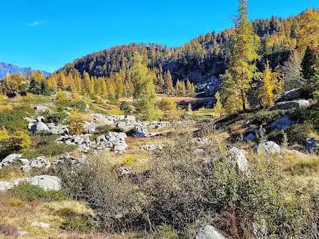 Lago Carisey