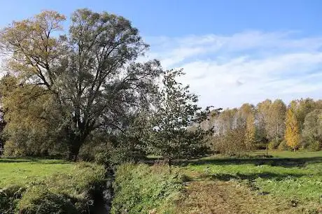 Natuurgebied Dalemhof