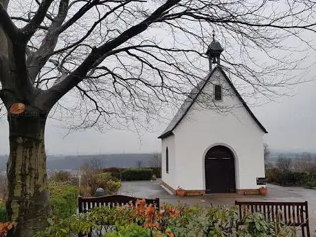 Photo de St John Fisher