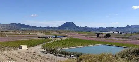 Photo de Mirador de la Floración