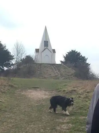 Photo de Farley Mount Monument