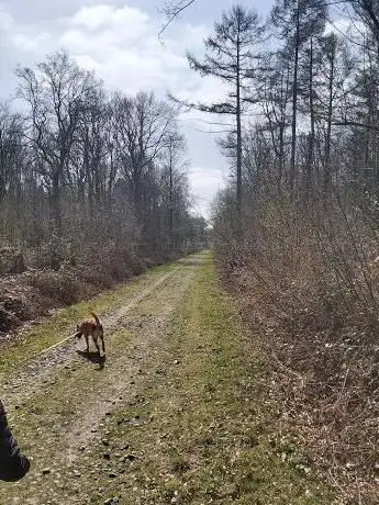 Photo de Balade didactique dans le bois de gesves circuit carré rouge