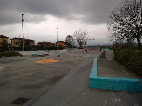 Arena Ski Roller