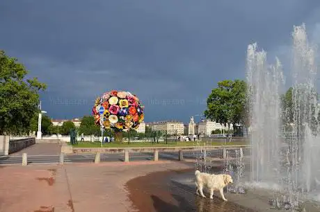 Photo de Fontaine de Place Antonin Poncet