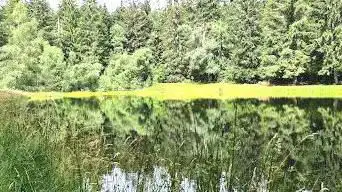 Photo de Etang du mont Bessou