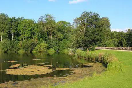 Photo de Lydiard Park Lake