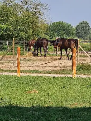 Photo de Scuderia Gardesana (S.R.L.)