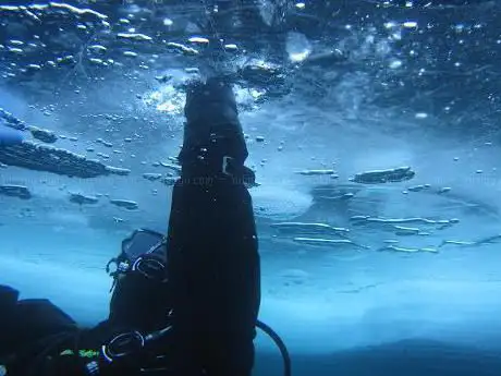 Photo de 100X100 Diving