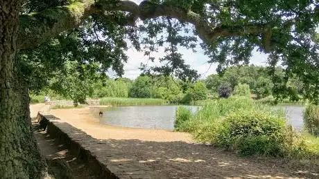 Photo de Frensham Little Pond