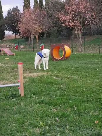 Photo de parco giochi