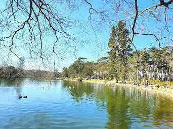 Photo de Parkrun du Bois de Boulogne