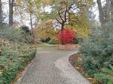 Photo de Remarquable avec Fleurs et Arbres Garden