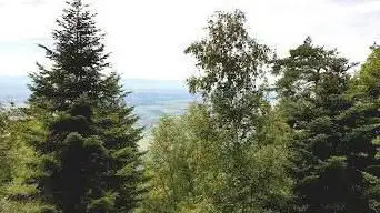 Photo de Point De Vue Kapellenhausfelsen