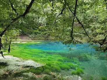 Source Du Planey
