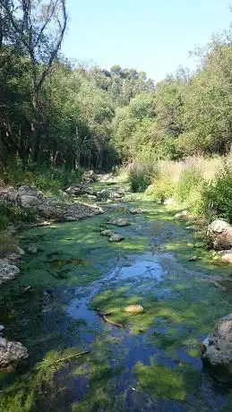 Brague