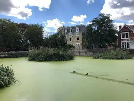 Photo de Kew Pond