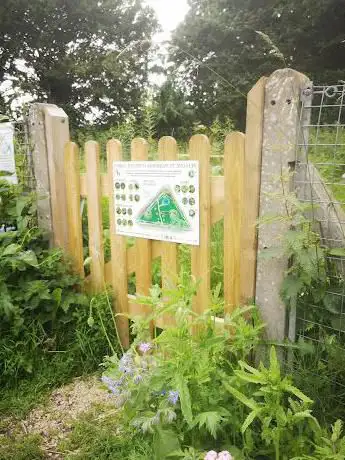 Packmores Community Garden
