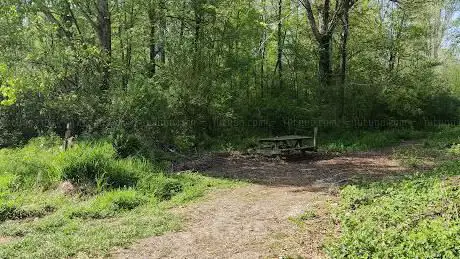 La Grande Foresta di Lodi
