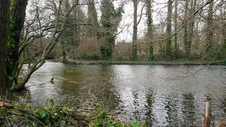 Itchen Navigation Brambridge