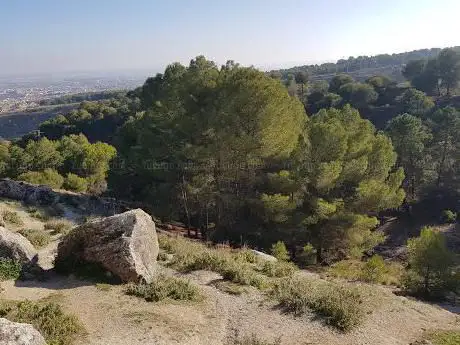 Photo de Cueva del moro