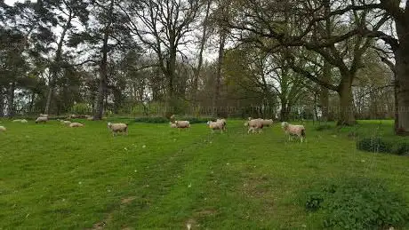 Photo de Hoddington Park