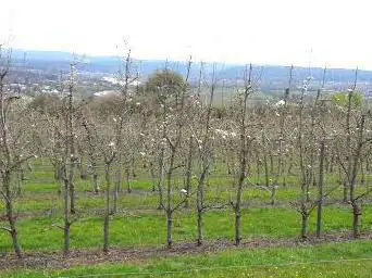 Photo de Panoramaweg Merzig