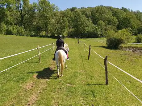 Ferme équestre de la chenaie